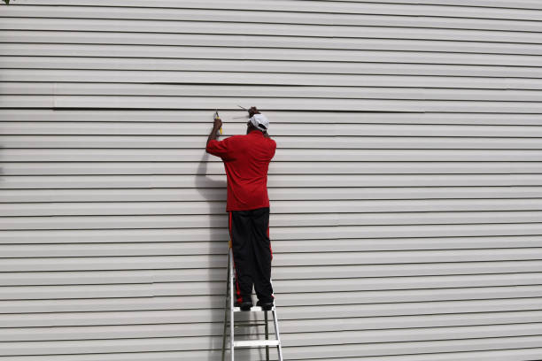 Best Insulated Siding Installation  in Panhandle, TX